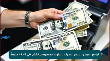 تراجع الدولار.. سعر الصرف بالبنوك المصرية ينخفض إلى 48.48 جنيهاً